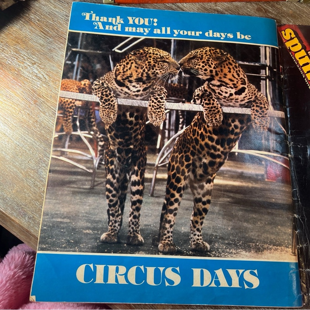 Colorful Circus Themed Notebook - Picture 12 of 13